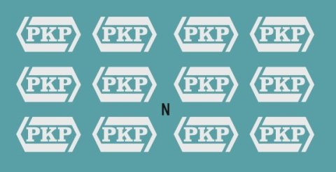 Kalkomania białe logo PKP N
