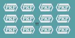 Kalkomania białe logo PKP TT