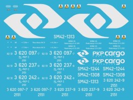 Kalkomania 6Dg PKP Cargo